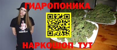 метадон Новозыбков