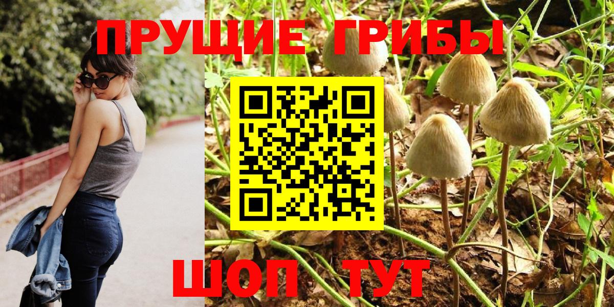 Псилоцибиновые грибы Magic Shrooms  Галлюциногенные грибы Cubensis  Ставрополь  Вход с VPN 